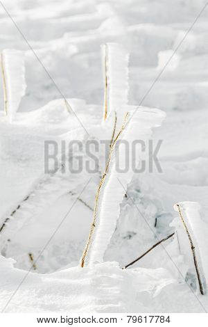 Detail Of Snow And Ice At Frozen Plant  At The Winter Mountain Landscape