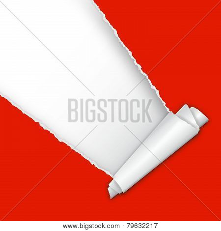 Torn Open Paper With Space For Text