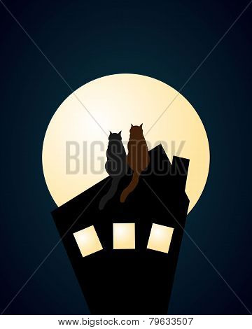 cats