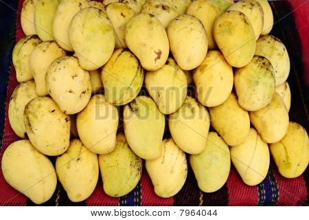 Mango maduro para la venta