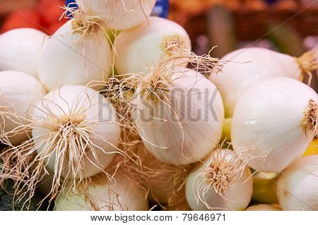 Onions big white on the counter