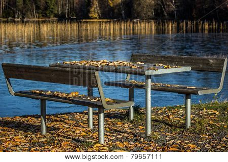 Table And Benches With Leaves