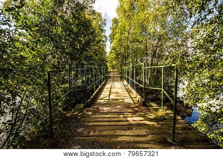 Steel Bridge In Birch Forest