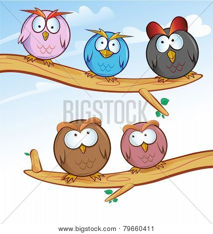 Funny Owl Group Cartoon On Tree