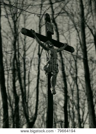 Cross in the woods black and white