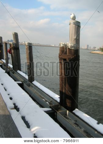 New York: Lokki