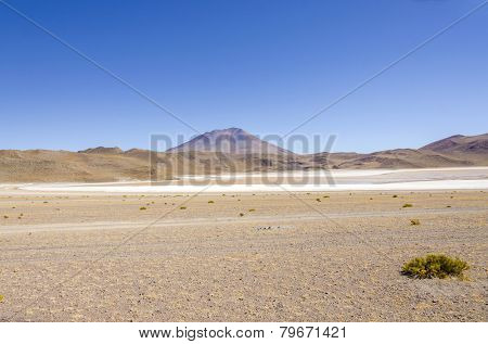 Laguna Hedionda, Bolivia, Antiplano