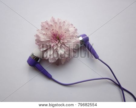 Purple headphones and flower