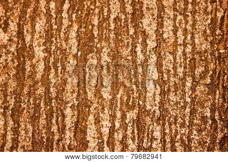 Cement Concrete Is Scratched Background.