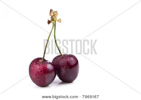 Ciliegio