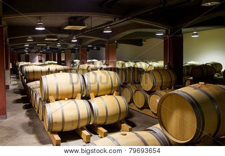Wine Barrels Cellar Bulgaria