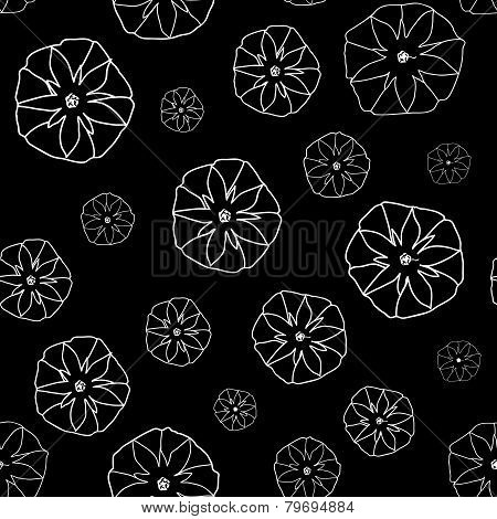 Black and White Seamless Pattern with  Ipomoea Flowers.
