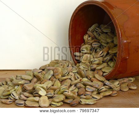 dried fava beans poured from a container