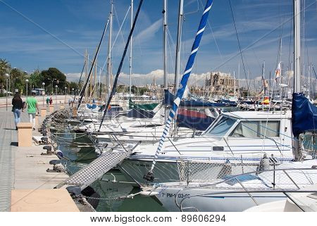 Cathedral seen through masts on the Paseo Maritimo