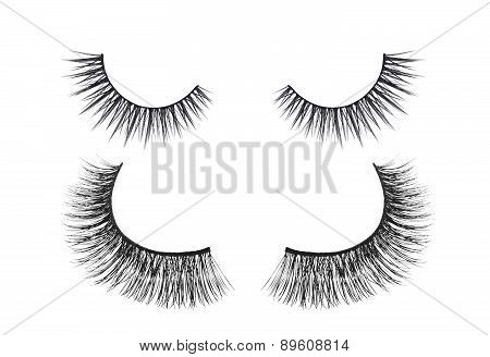 Black False Eyelash Isolated On White Background