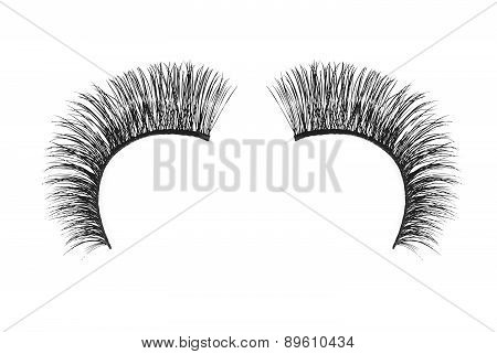Black False Eyelash Isolated On White Background