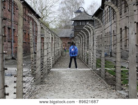 International Holocaust Remembrance Day