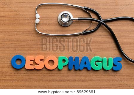 Oesophagus