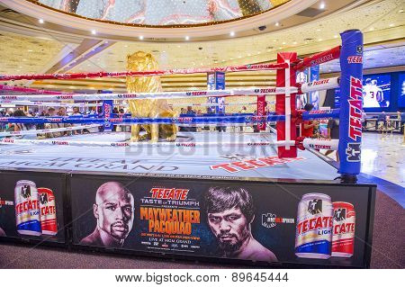 Floyd Mayweather And Manny Pacquiao Fight