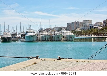 Large white expensive motor yachts