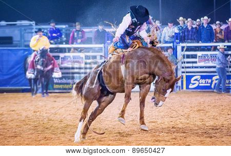 Clark County Fair And Rodeo