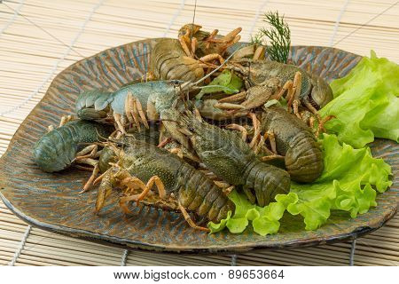 Raw Crayfish