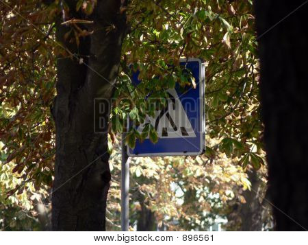 Útjelzési