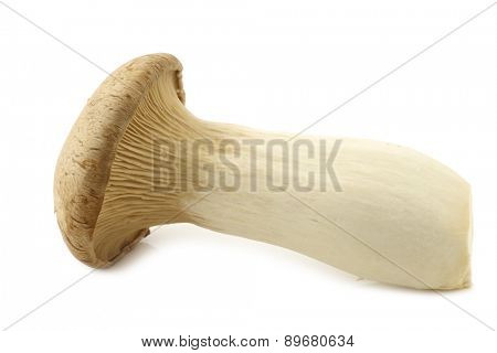 King oyster mushroom (Pleurotus Eringii) on a white background