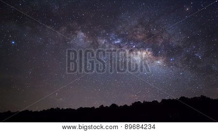 Silhouette of Tree and Milky Way. Long exposure photograph.
