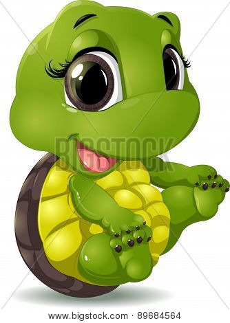 little turtle
