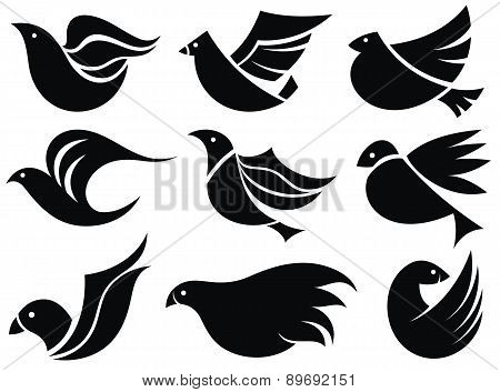 Bird labels