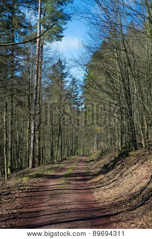 Thuringian Forest, Germany