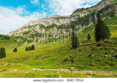 Typical European Alpine landscape, pastures and mountains
