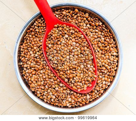 Whole masoor dal or lentils kept on a bowl on a plain background