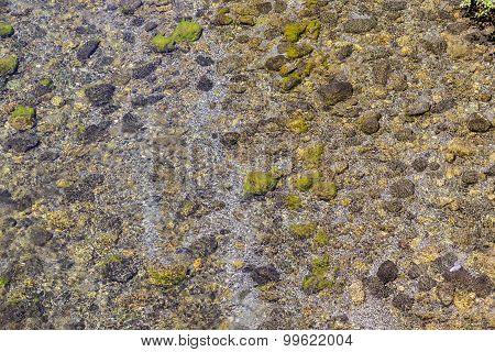 Detail Of River Bed Of Trinity River