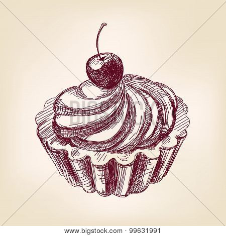 Cherry cupcake hand drawn vector llustration realistic