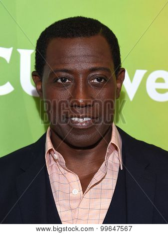 LOS ANGELES - AUG 13:  Wesley Snipes arrives to the Summer 2015 TCA's - NBCUniversal  on August 13, 2015 in Hollywood, CA                