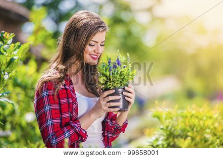 Beautiful woman gardening