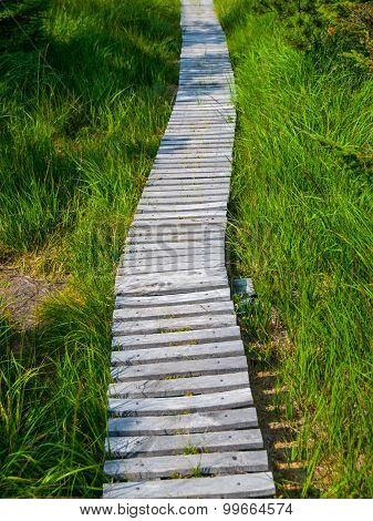 Wooden hiking trail