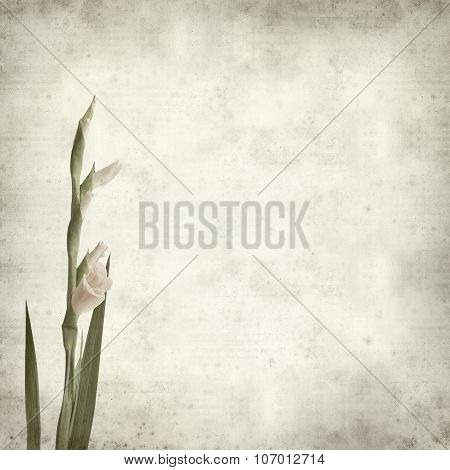 Textured Old Paper Background