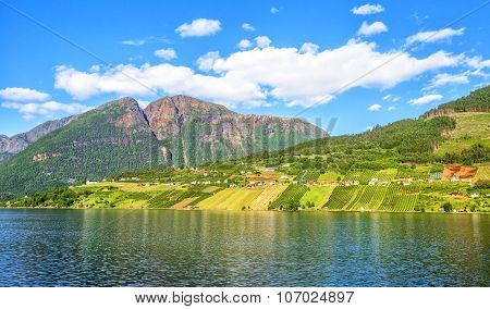 Meadows And Village On Hardanger Fiord.