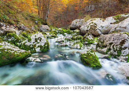 Mountain Stream In Autumn, Julian Alps, Italy