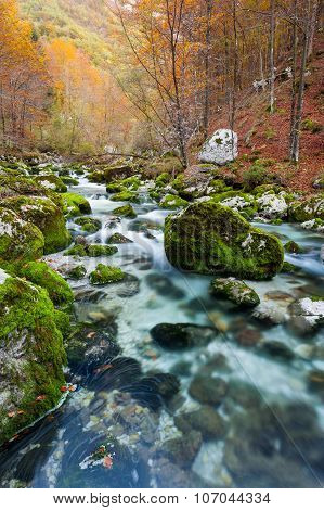Mountain Stream In Autumn, Julian Alps, Italy