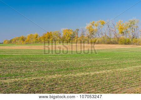 Ukrainian country landscape with seasonal agricultural fields