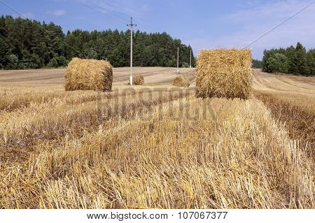 haystacks straw . summer