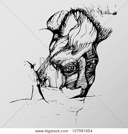 Sketch Face
