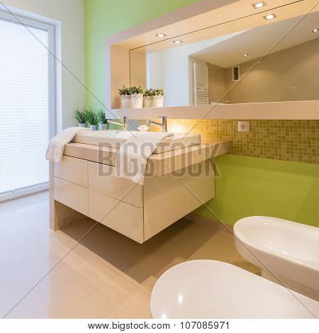 Green Painted Wall In Bathroom