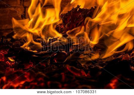 fire