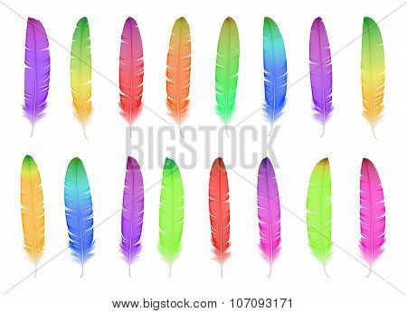 Watercolor feather set. Hand drawn vector illustration