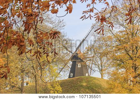 Traveling In The Famous Copenhagen